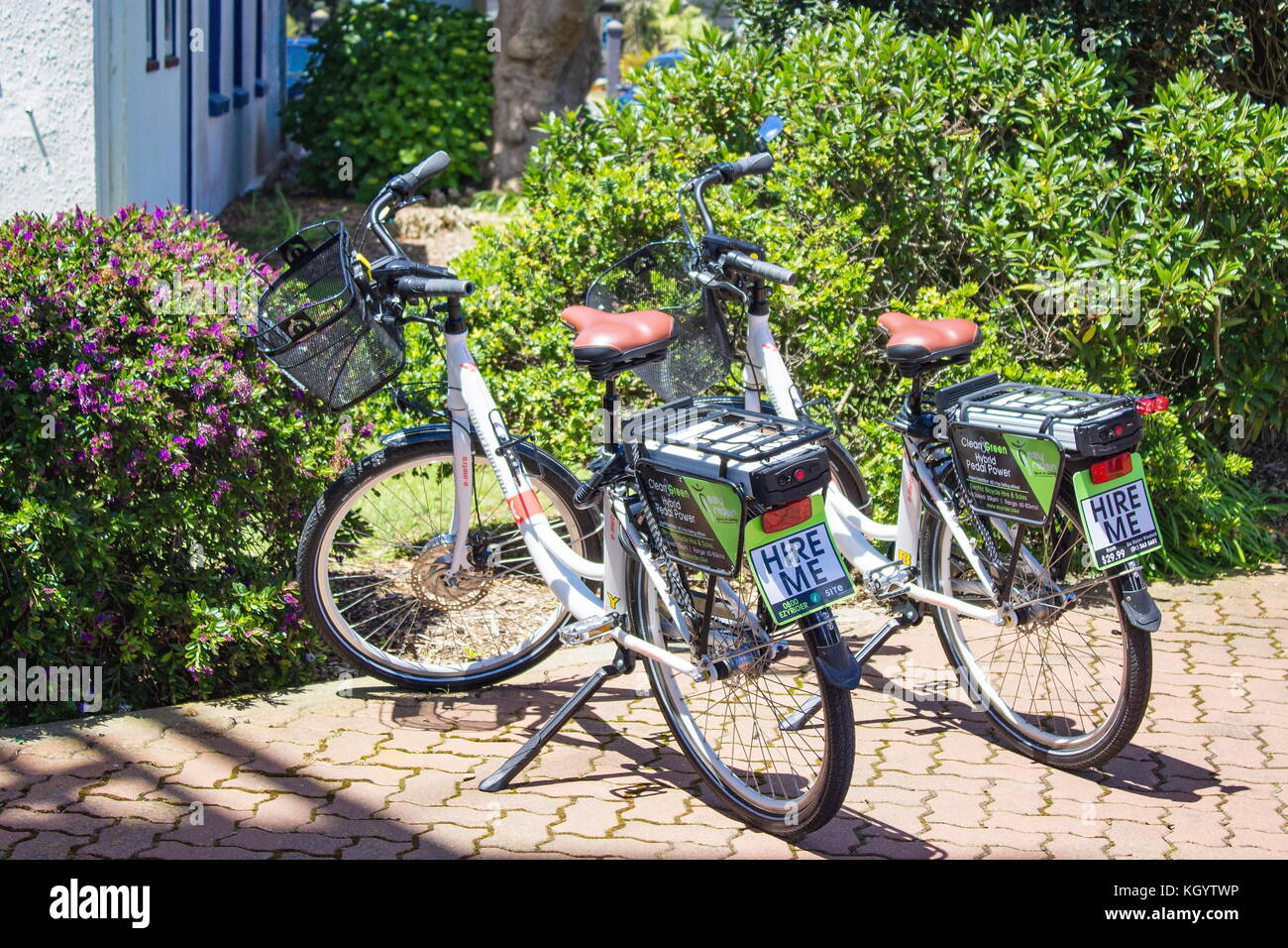 Foxton, nuova Zelanda - 28 novembre 2015: Noleggio di biciclette elettriche Ezy Rider Hybrid fuori dal mulino a vento De Molen. Foto Stock