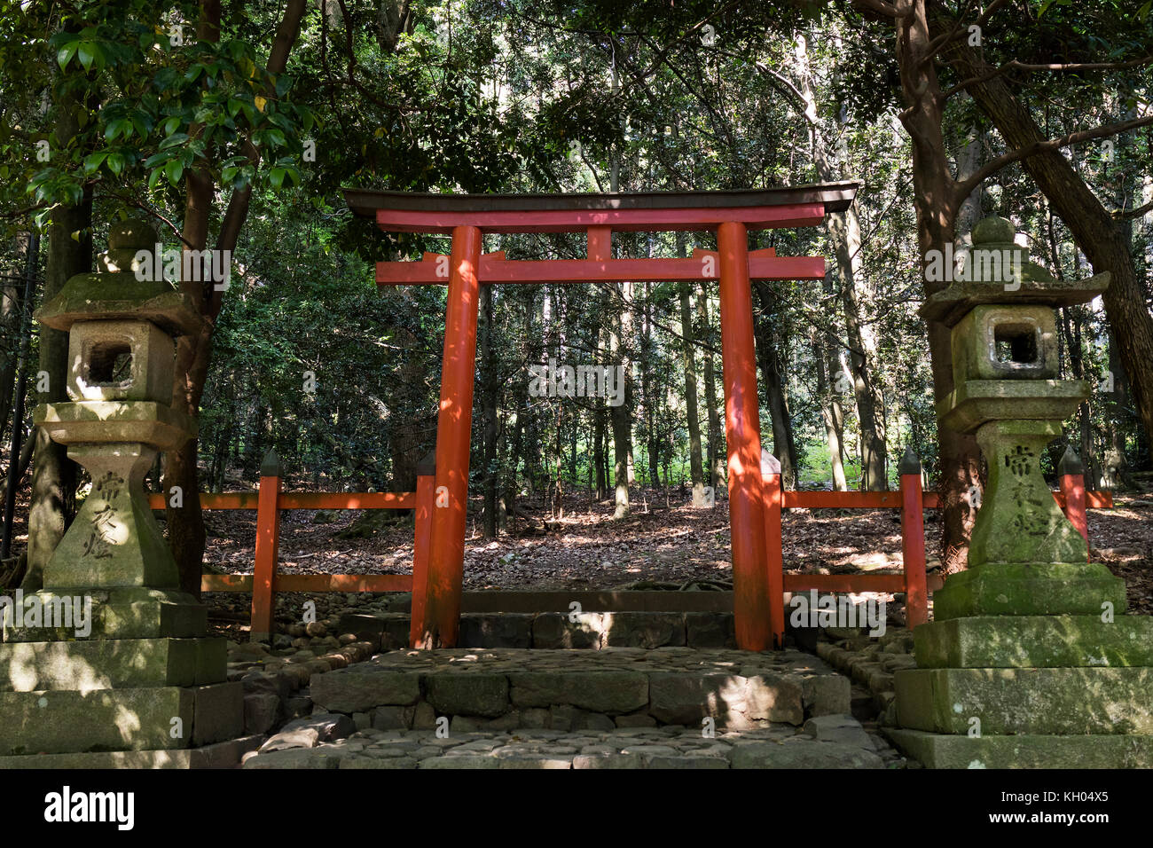 Nara - Giappone, 29 maggio 2017: Porta torii nella foresta primordiale di Kasugayama, registrata come sito patrimonio dell'umanità dell'UNESCO come parte dello storico Monum Foto Stock