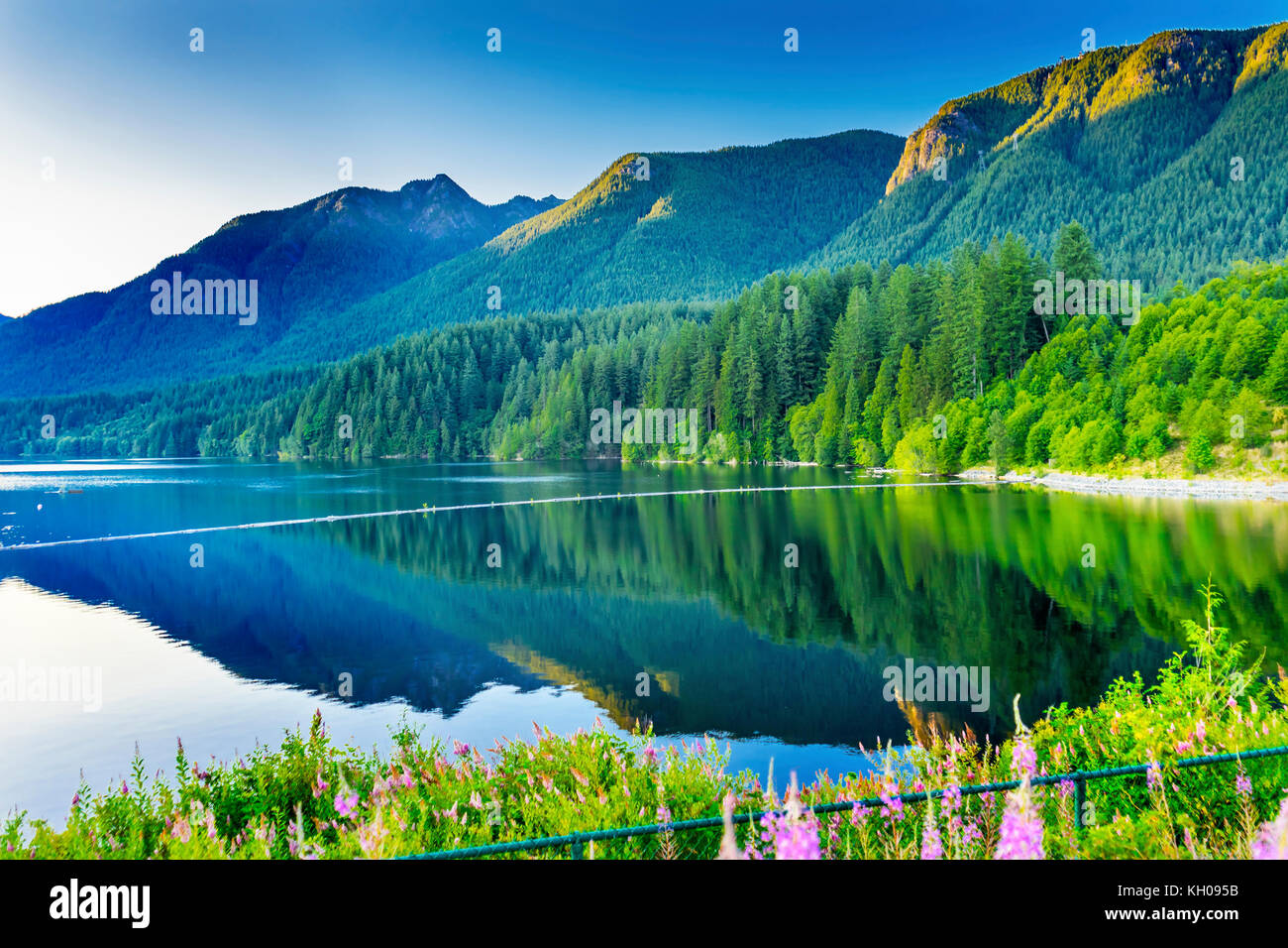 Il Capilano serbatoio Diga lago montagne verdi vancouver British Columbia canada Pacific Northwest Foto Stock