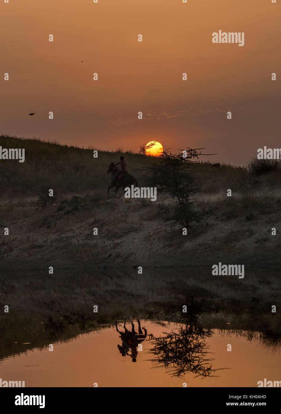 Tinte del tramonto a Pushkar, Rajasthan, India Foto Stock
