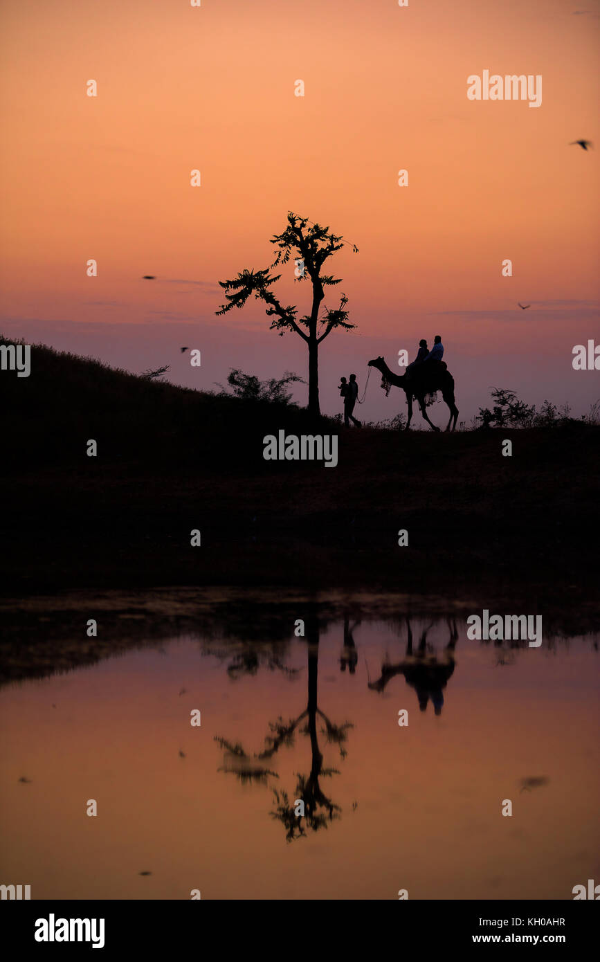 Tinte del tramonto a Pushkar, Rajasthan, India Foto Stock