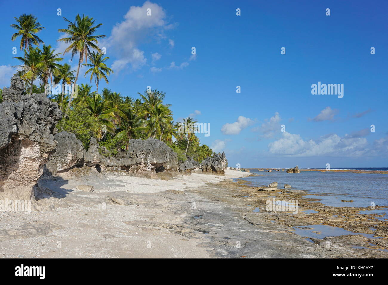 Formazione di roccia sulla riva dell'atollo di tikehau, tuamotus, Polinesia francese, oceano pacifico del Sud e Oceania Foto Stock