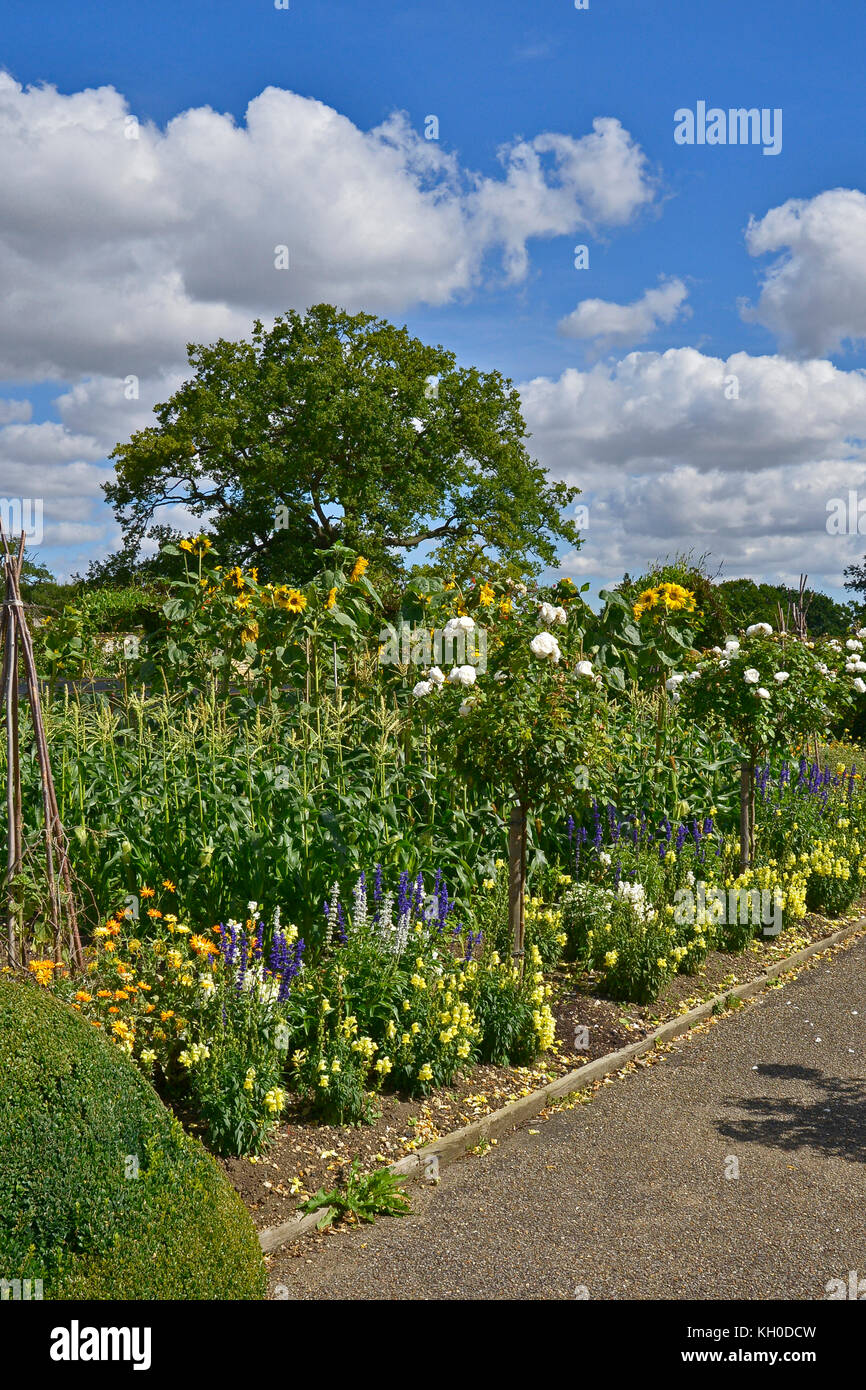 Un grande orto con piantando mescolato di ortaggi e fiori Foto Stock