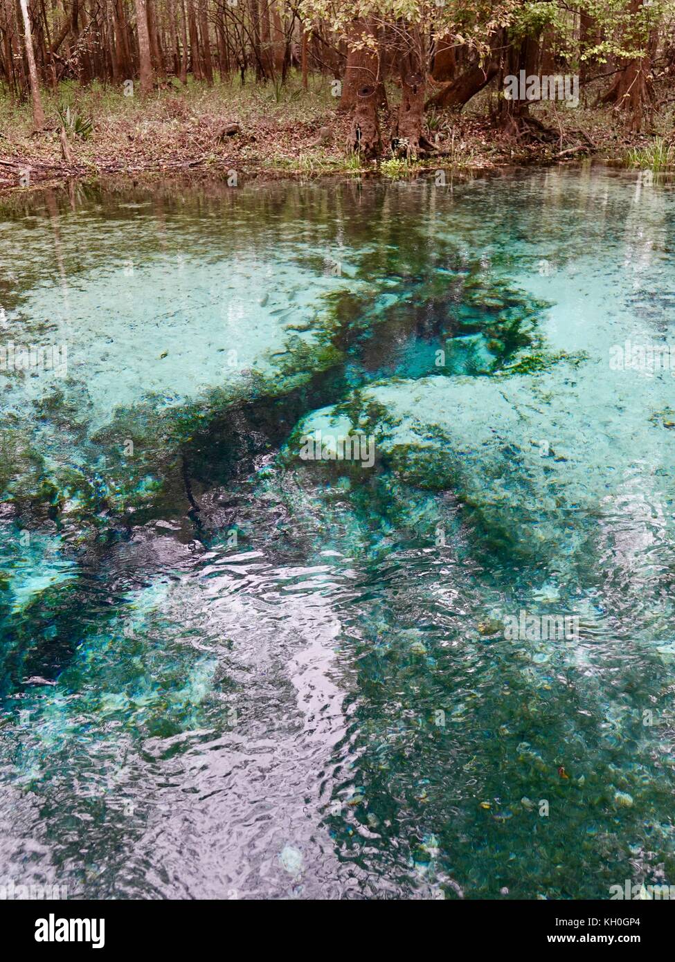 Gilchrist Blue Springs State Park, Florida, Stati Uniti d'America Foto Stock