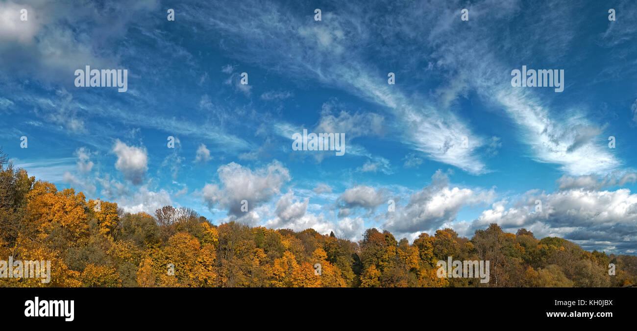 Un mondo ricco di cielo blu e bella cirrus nuvole nuotare lungo il cielo di autunno in un parco della città. Foto Stock