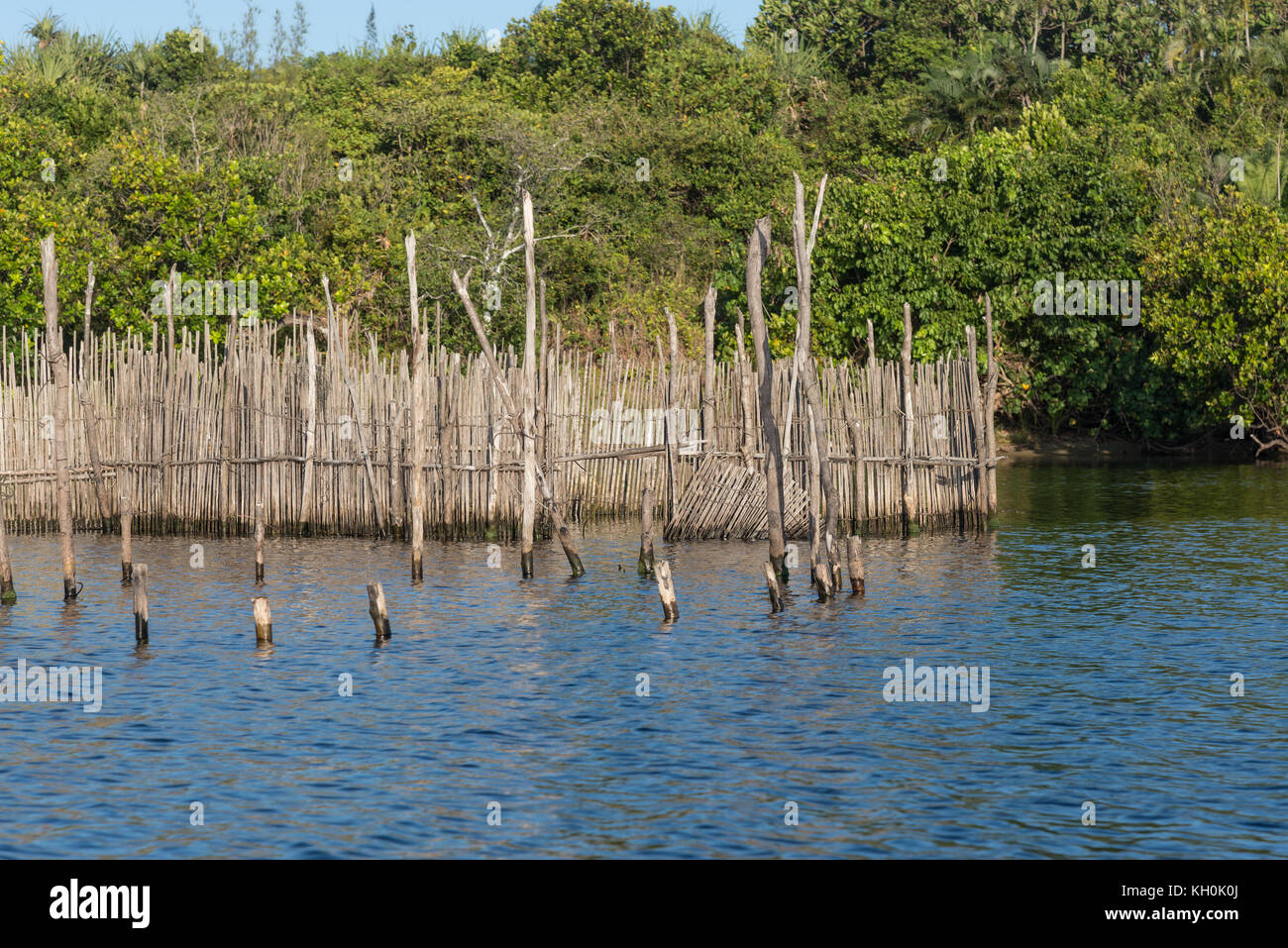 Il popolo malgascio costruire trappole in fiume per la cattura del pesce. madagascar, africa. Foto Stock