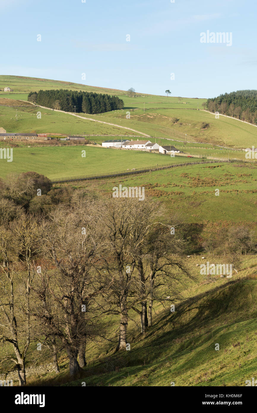 Vista di North Pennines campagna dal modo Weardale, vicino Rookhope, Co. Durham, England, Regno Unito Foto Stock