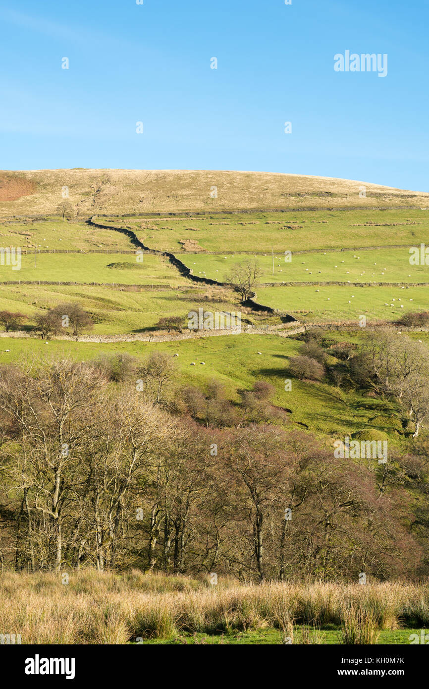 Vista di North Pennines campagna dal modo Weardale, vicino Rookhope, Co. Durham, England, Regno Unito Foto Stock