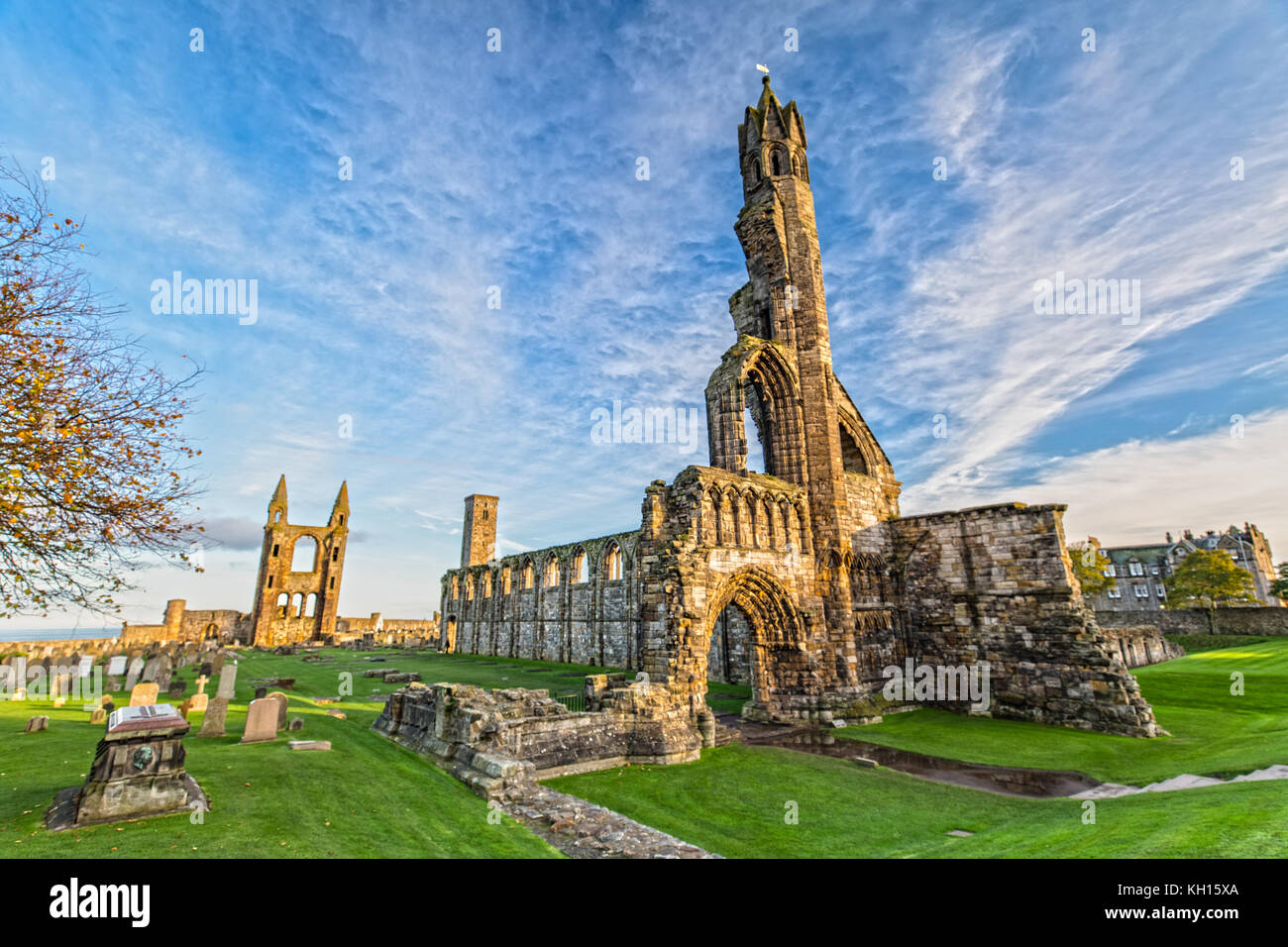Cattedrale di St Andrews a St. Andrews, Scozia Foto Stock