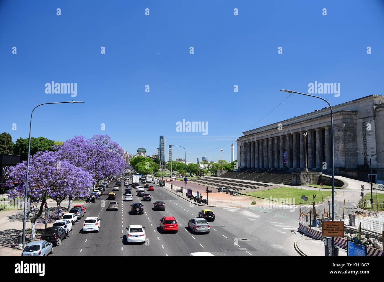 Viola gli alberi di jacaranda in piena fioritura la linea buenos aires strade nel quartiere di Recoleta su blu sciare, soleggiata giornata di primavera in Argentina. Foto Stock