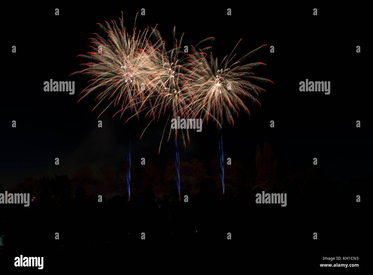 Fuochi d'artificio, Milton Keynes, Regno Unito Foto Stock