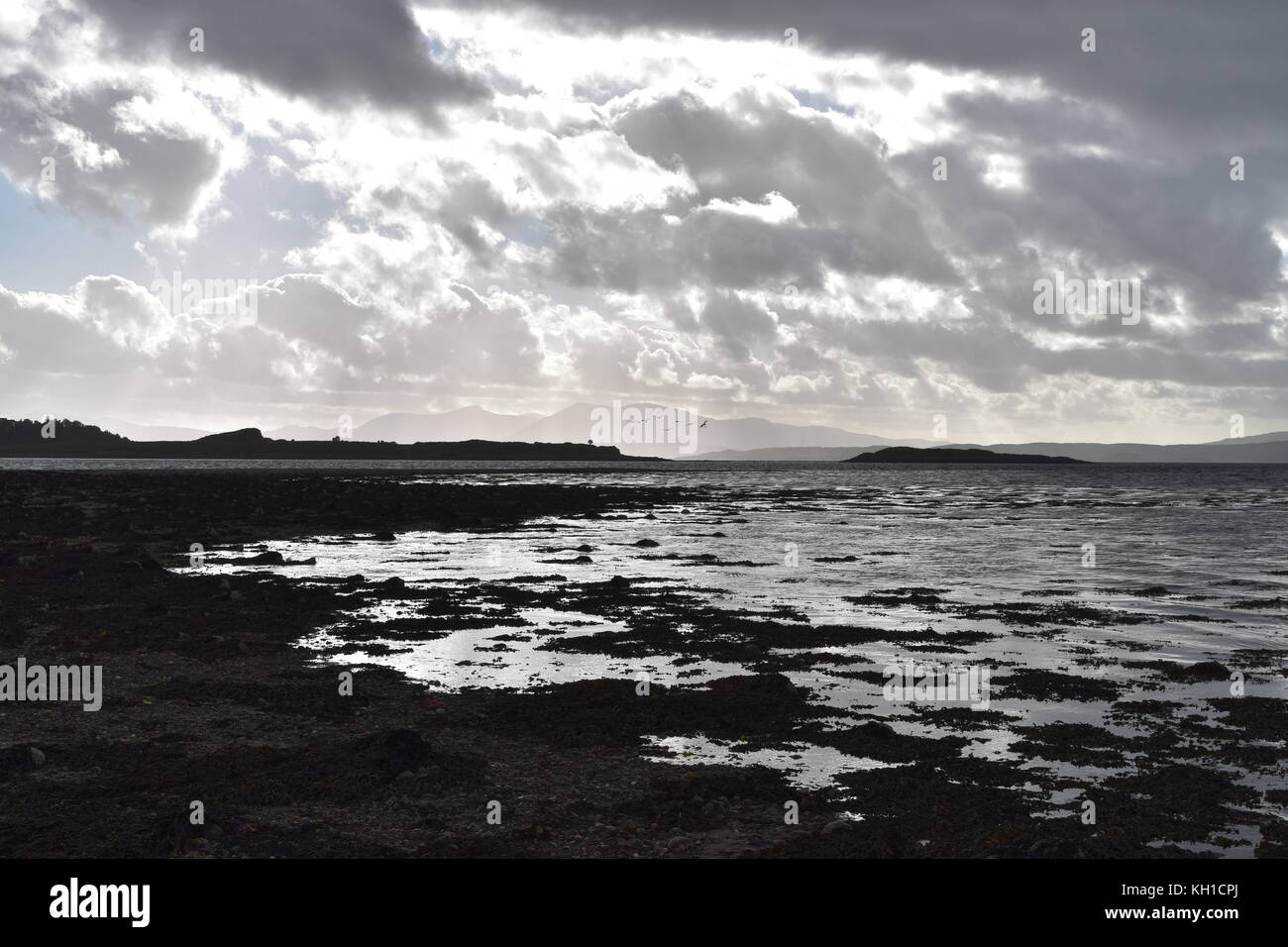 Guardando ad ovest con il mare con la bassa marea da Nord Ledaig Beach, Scozia. Foto Stock
