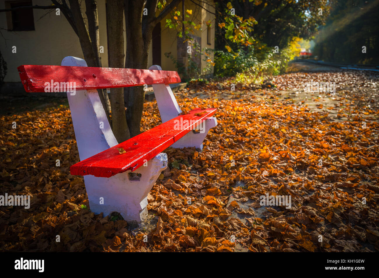Budapest, Ungheria - panchina rossa, foglie d'autunno e sole che sorge cade sul binario ferroviario che conduce attraverso la foresta d'autunno con treno sullo sfondo Foto Stock