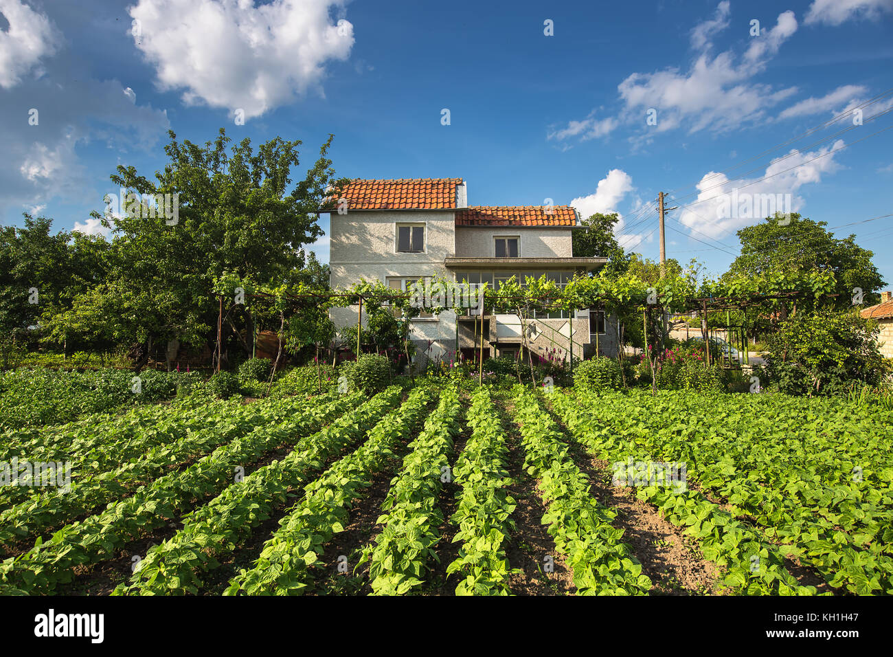 Casa di villaggio con giardino e vlue sky con le nuvole Foto Stock