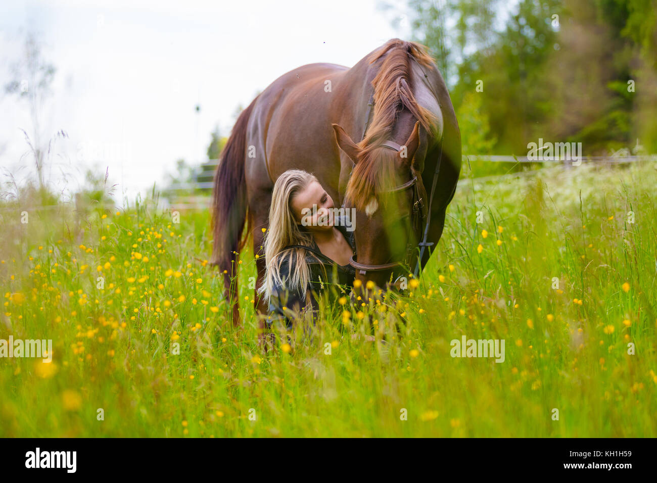 Bella donna alimentando il suo cavallo arabo nel campo Foto Stock