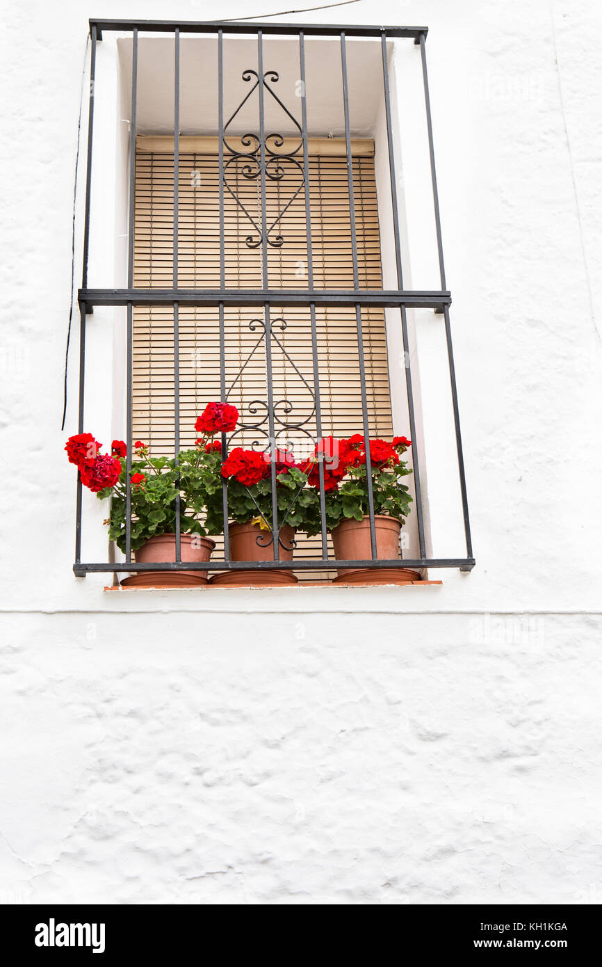 Windows con in ferro battuto dipinto di nero con vasi di fiori di colore rosso sul davanzale e parete dipinta di bianco Foto Stock