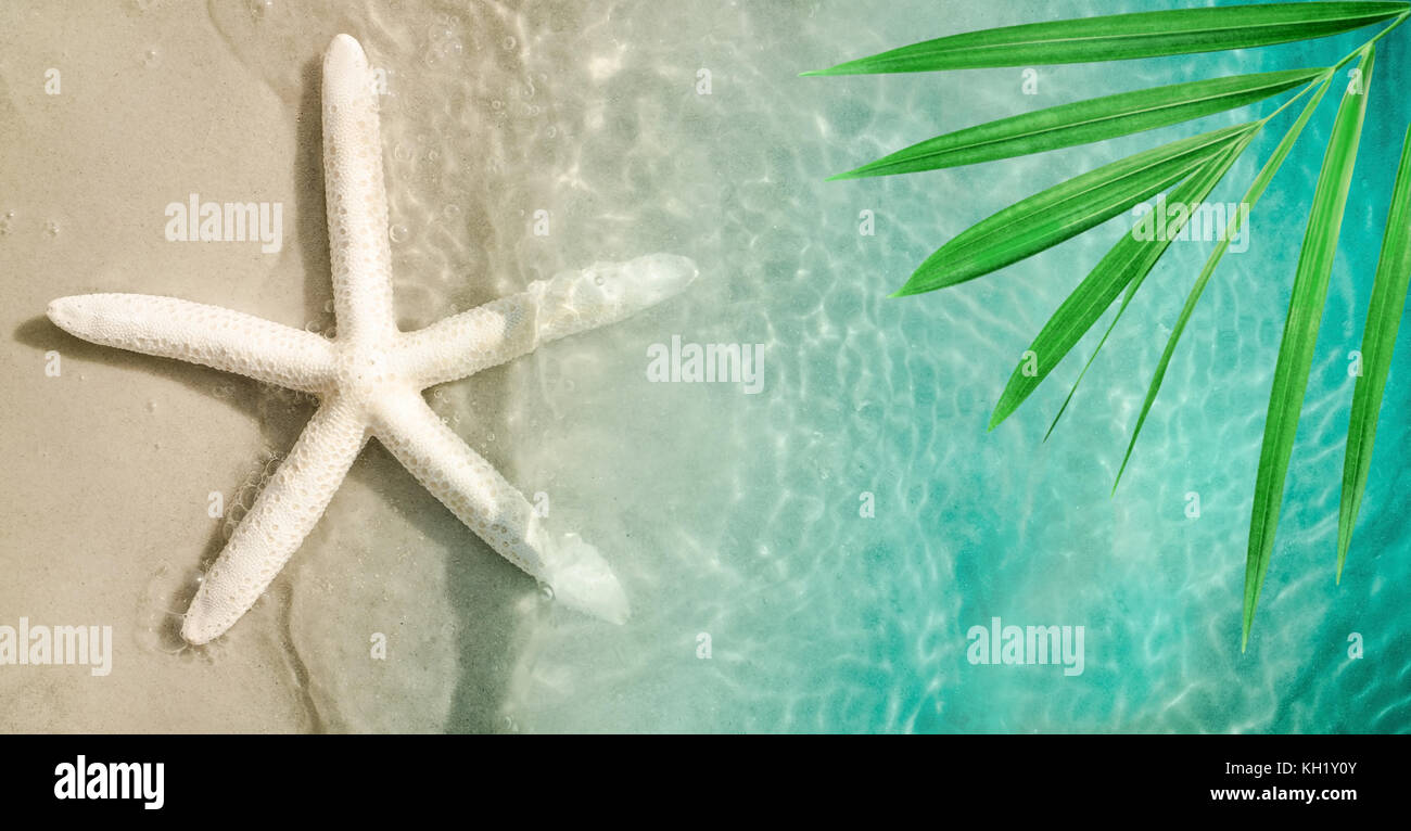 Starfish sull'estate spiaggia con sabbia e wave. Estate sfondo. Orario estivo Foto Stock