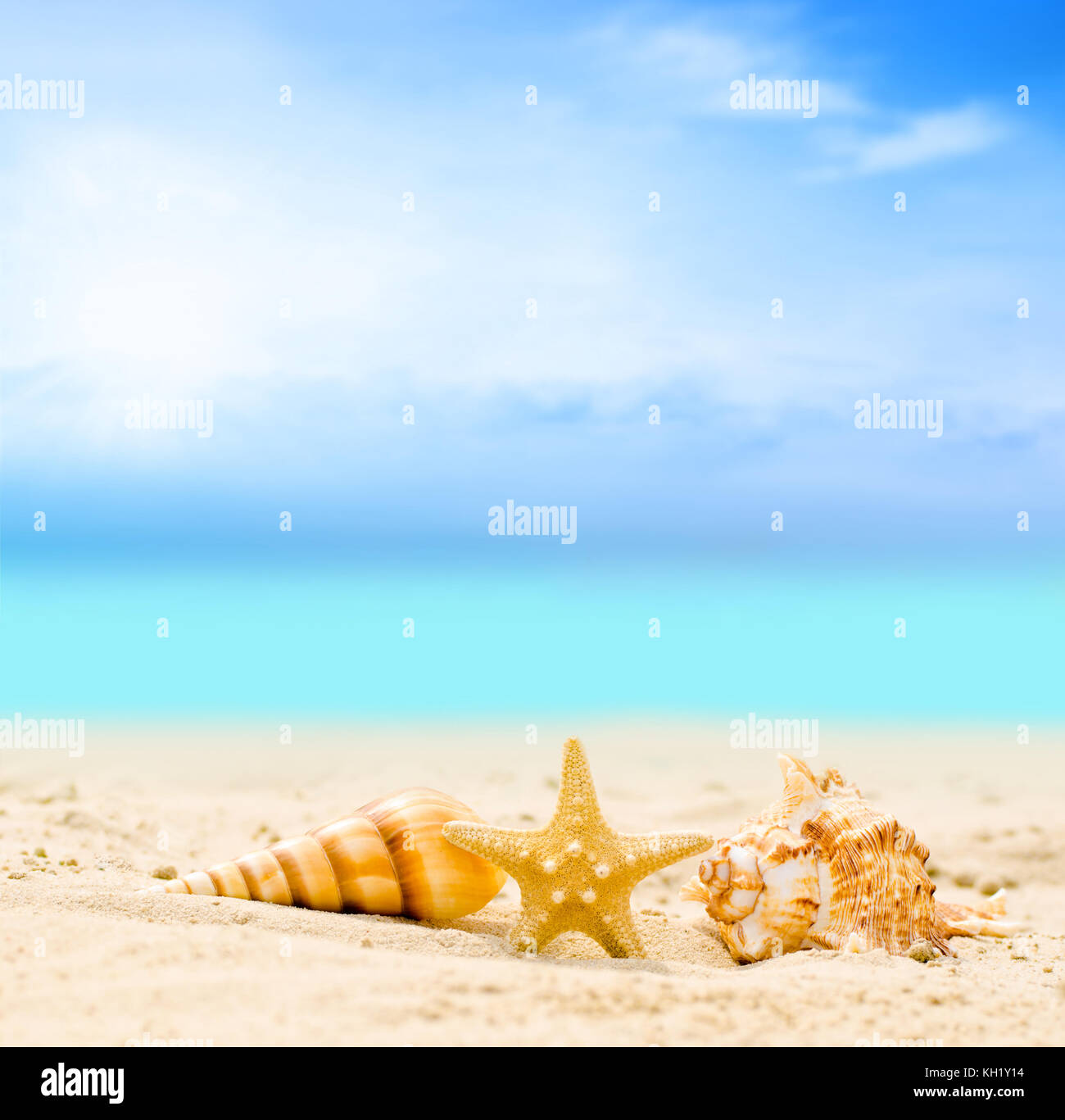 Starfish sull'estate spiaggia con sabbia e wave. Estate sfondo. Orario estivo Foto Stock