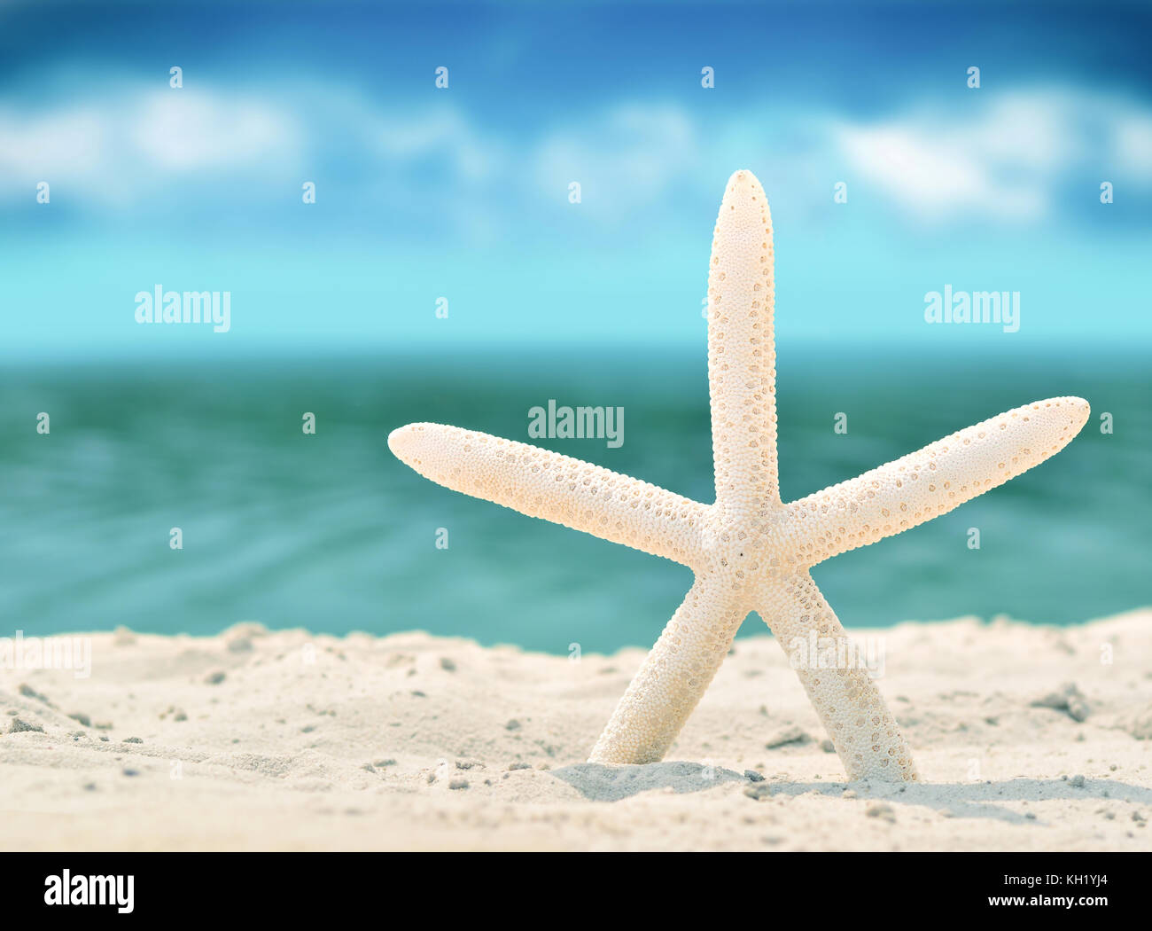 Starfish sull'estate spiaggia con sabbia e cielo Foto Stock