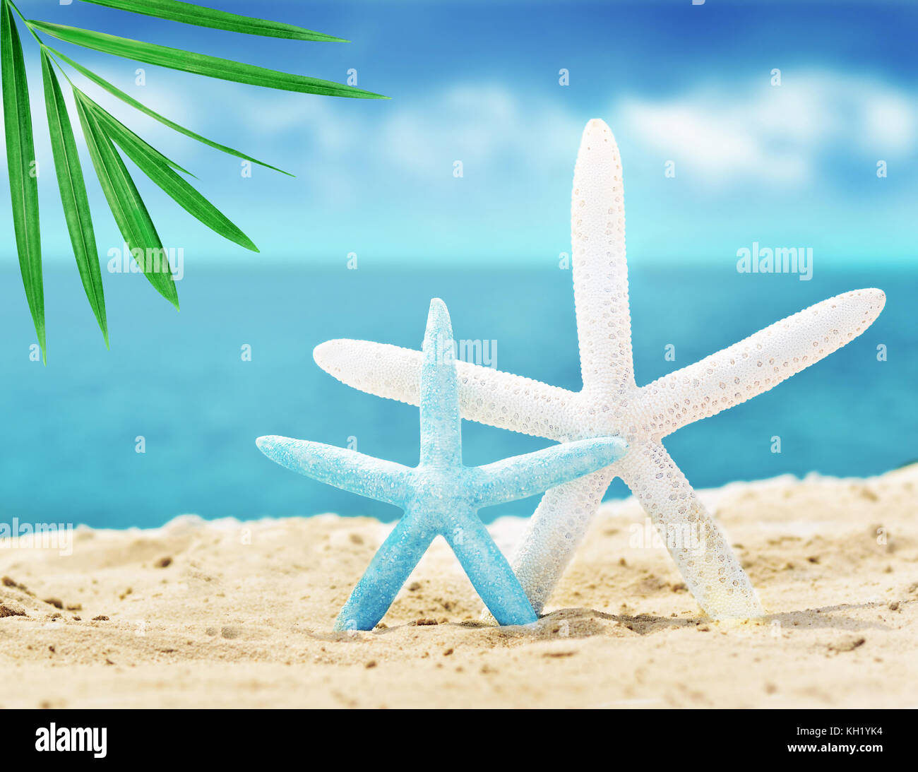 Starfish sull'estate spiaggia con sabbia e palm Foto Stock