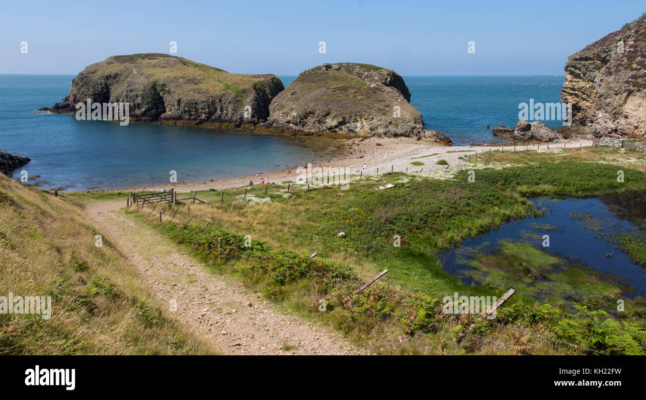 Ynys y Fydlyn, Anglesey, Galles del Nord Foto Stock