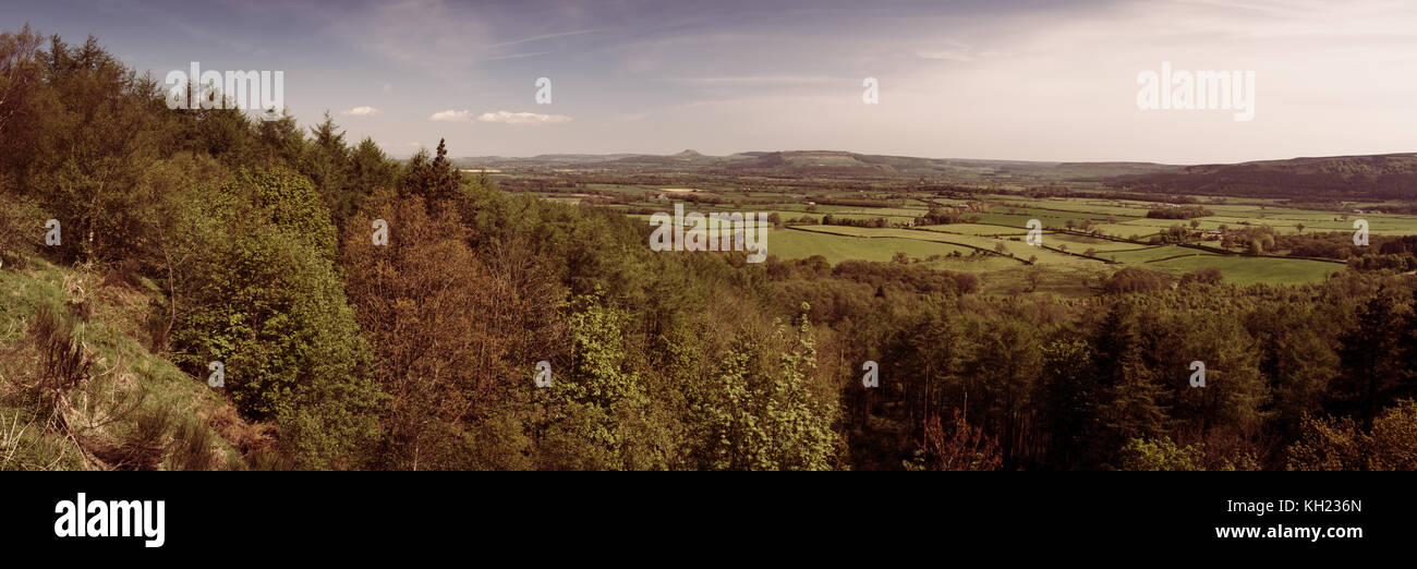 Roseberry topping cleveland Foto Stock
