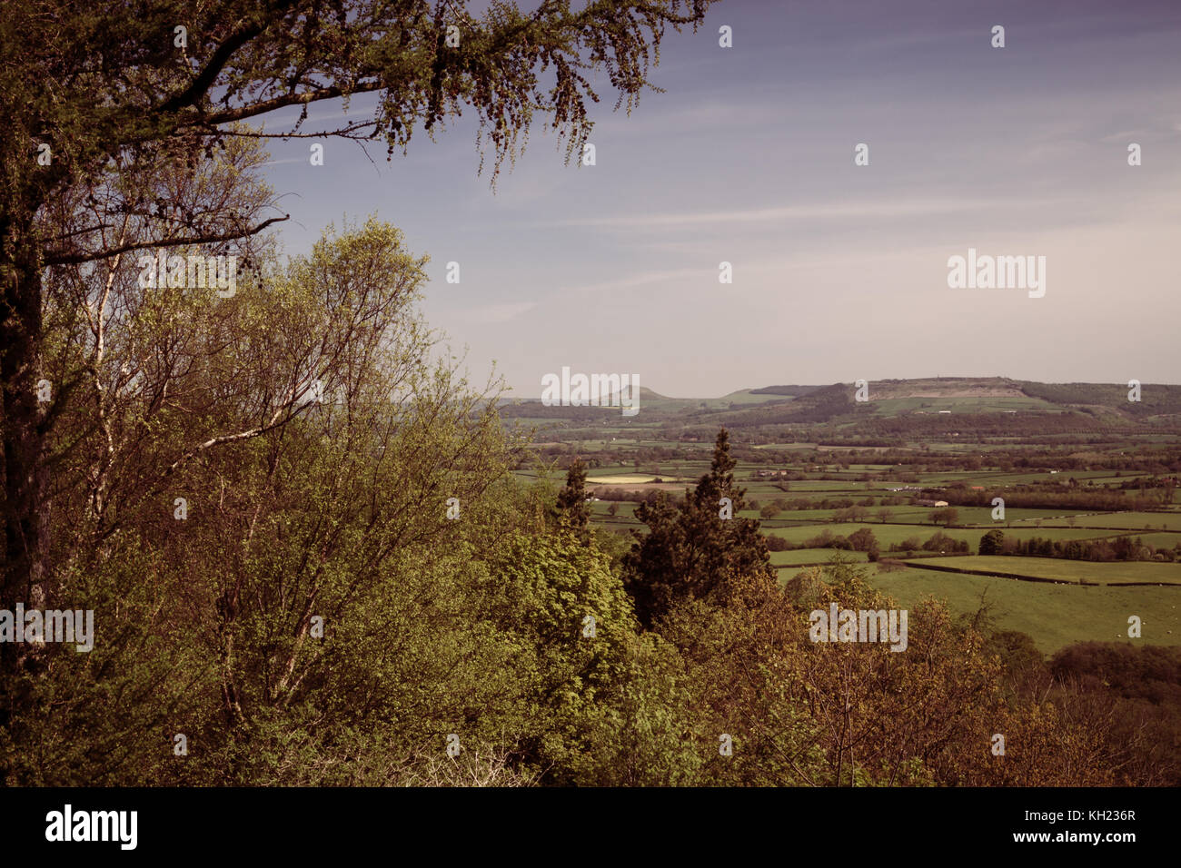 Roseberry topping cleveland Foto Stock