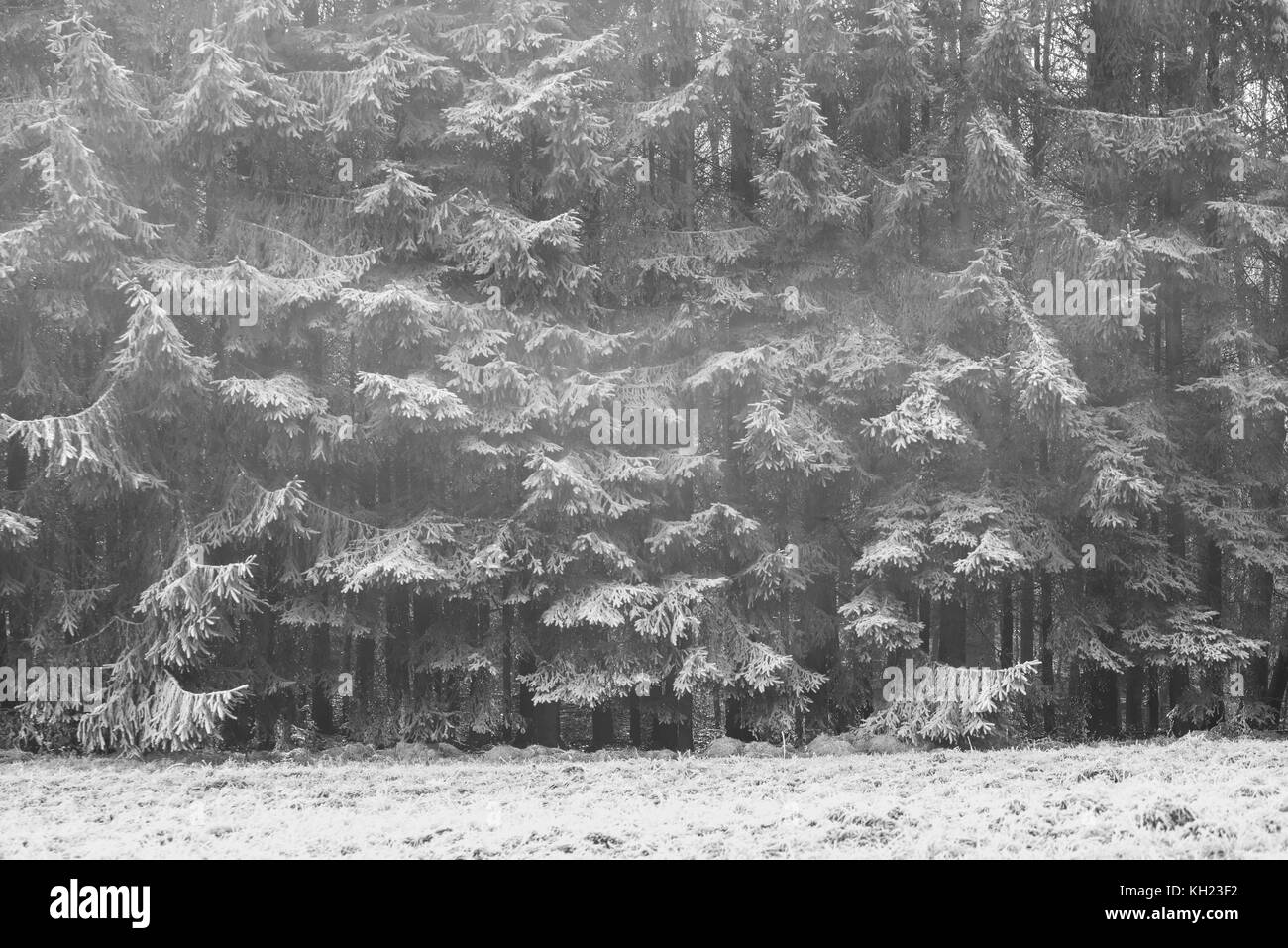 Stagioni invernali specifiche meteo natura Foto Stock