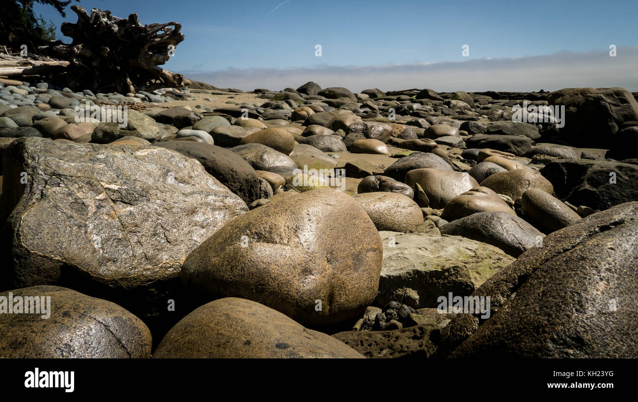 (West Coast Trail, isola di Vancouver, BC, Canada) Foto Stock