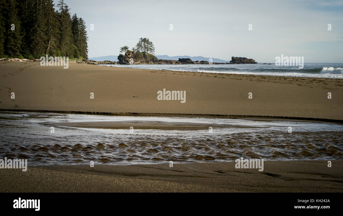 (West Coast Trail, isola di Vancouver, BC, Canada) Foto Stock