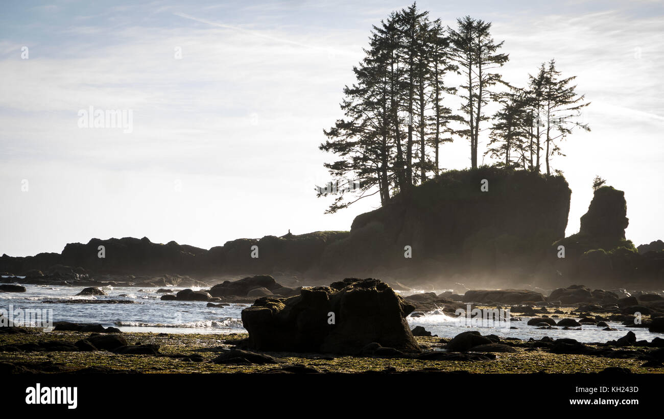 (West Coast Trail, isola di Vancouver, BC, Canada) Foto Stock