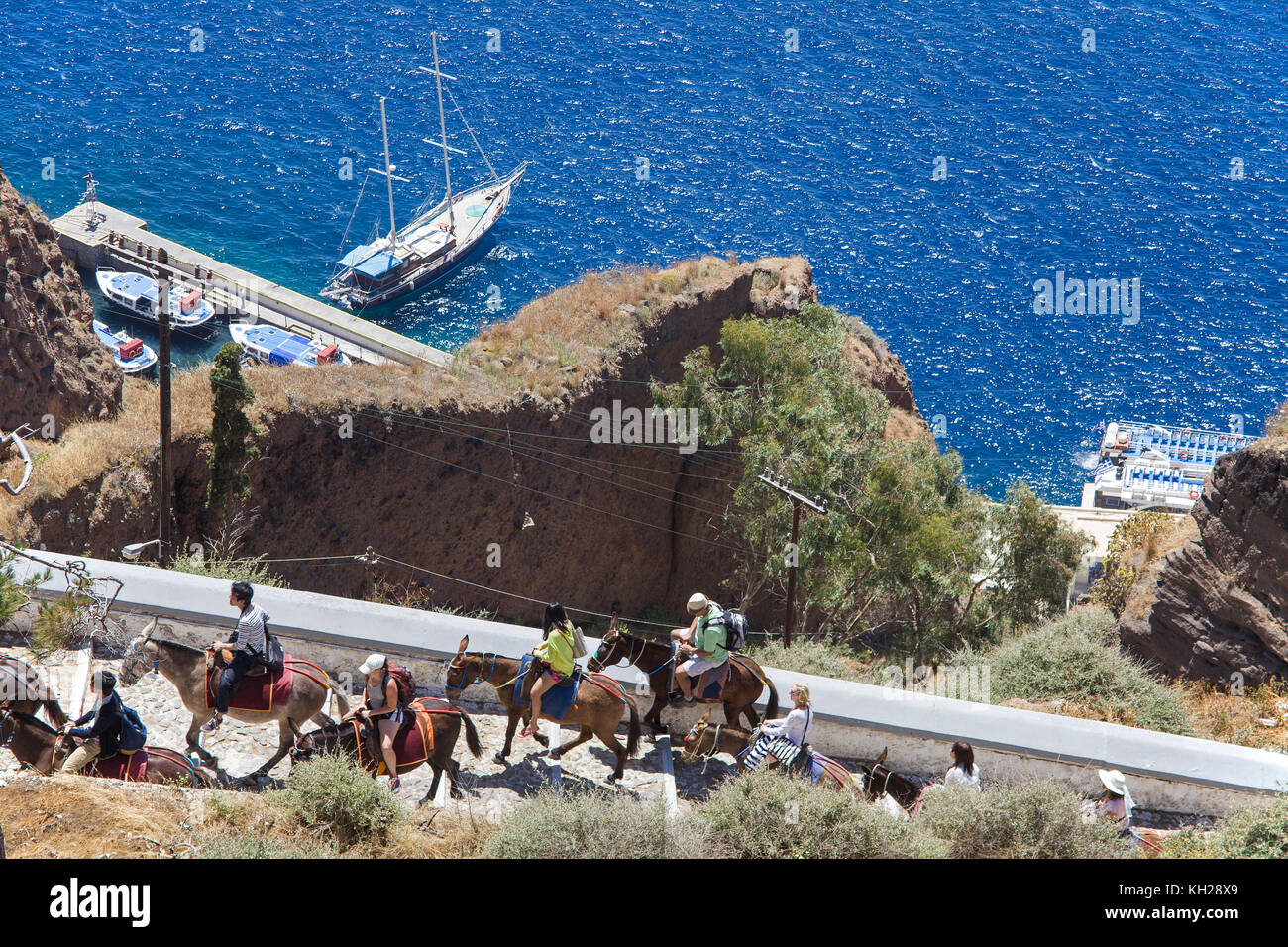 Attrazione turistica corsa con asini 700 passi al piano superiore dal porto di Thira, isola di Santorini, Cicladi, Egeo, Grecia Foto Stock