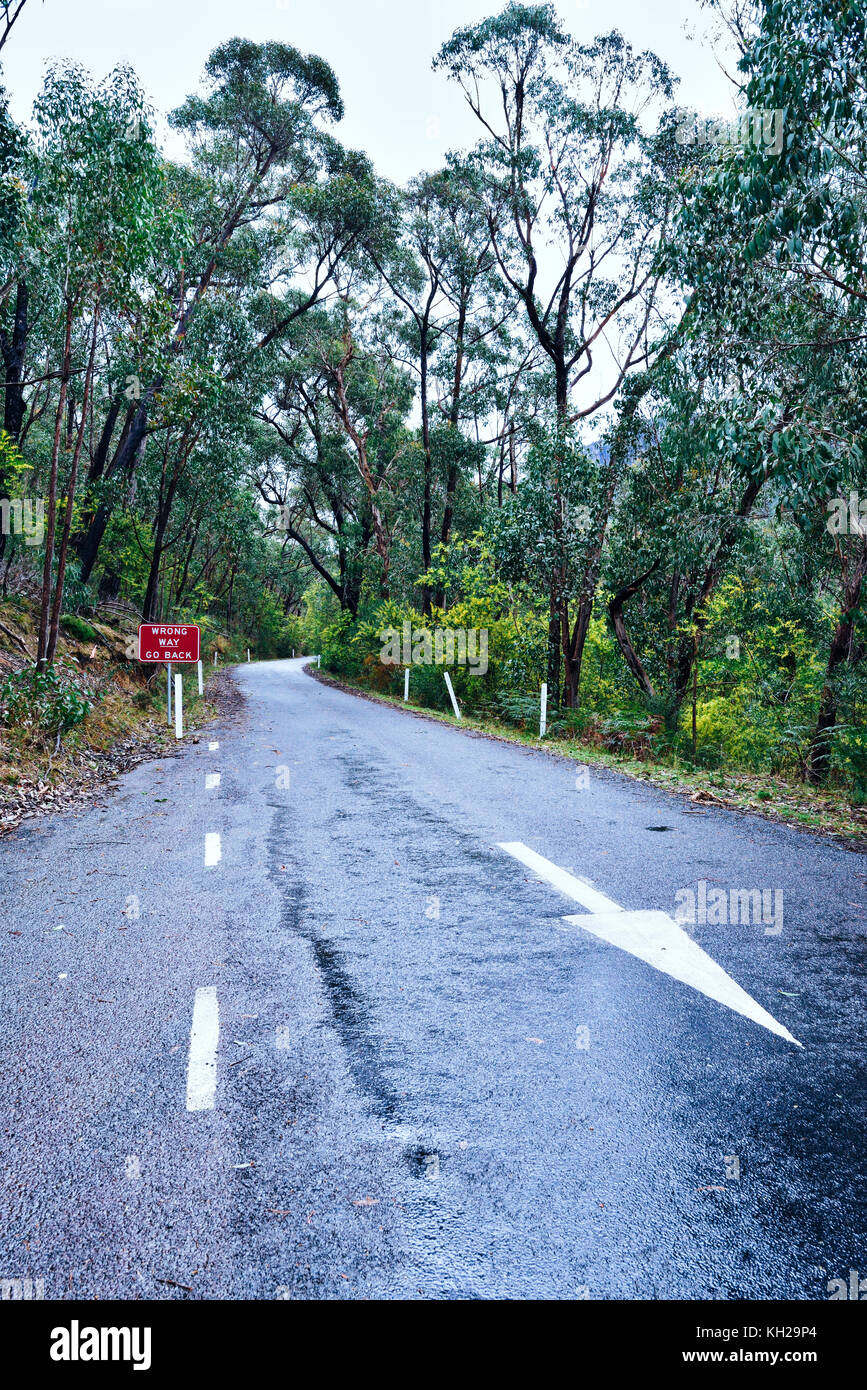Cartello con scritto "via sbagliata, torna indietro". Con una freccia sulla strada rivolta all'indietro. Foto Stock