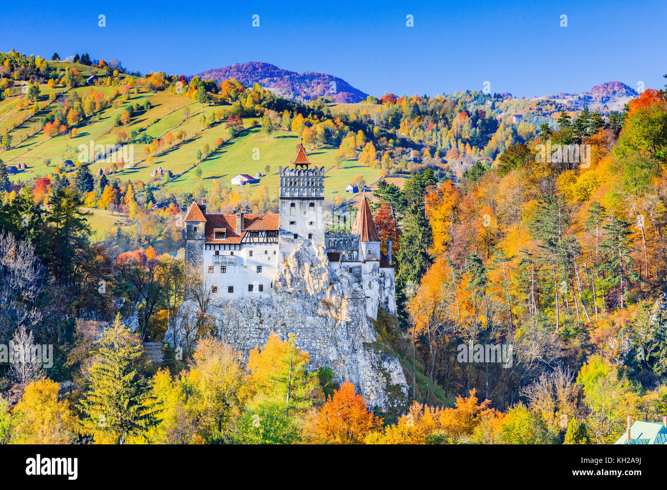 Brasov, Transilvania. romania. il castello medievale di crusca, noto per la leggenda di Dracula. Foto Stock