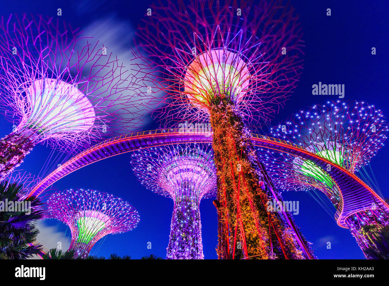 La città di Singapore, Singapore - 8 gennaio 2016 Supertree Grove al Gradens dall'alloggiamento. Foto Stock