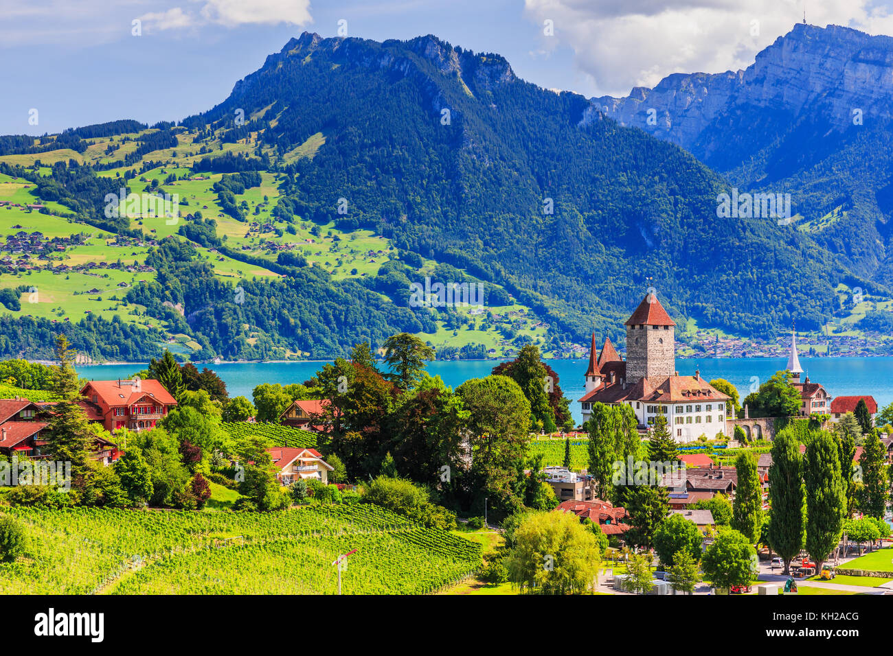 Spiez, Svizzera. La città di spiez dal lago di Thun nella Berner Oberland. Foto Stock
