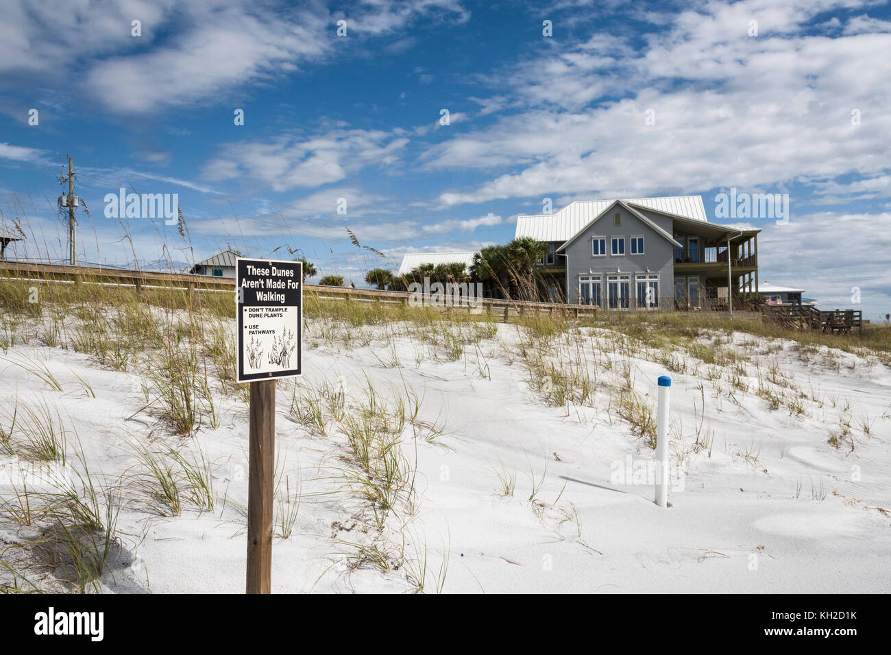 Protetti Dune di sabbia lungo il Golfo Spiagge della contea, Florida USA Foto Stock