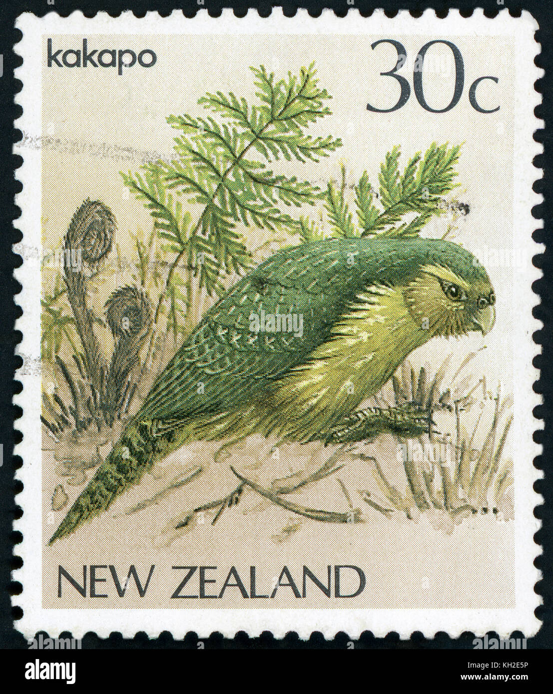 Nuova Zelanda - circa 1986: un timbro stampato in Nuova Zelanda, mostra un uccello Kakapo (Strigops habroptilus), circa 1986 Foto Stock