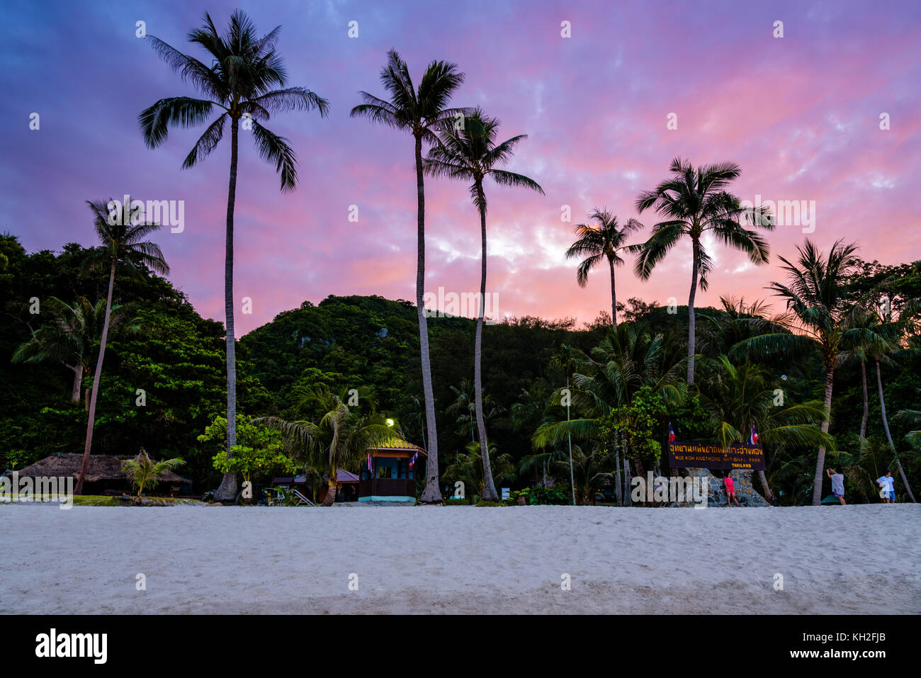 Bellissimo paesaggio naturale di alberi di cocco sulla spiaggia di fronte a ko Wua Ta Lap isola, sotto il cielo colorato al tramonto, mu ko Ang Thong national Foto Stock