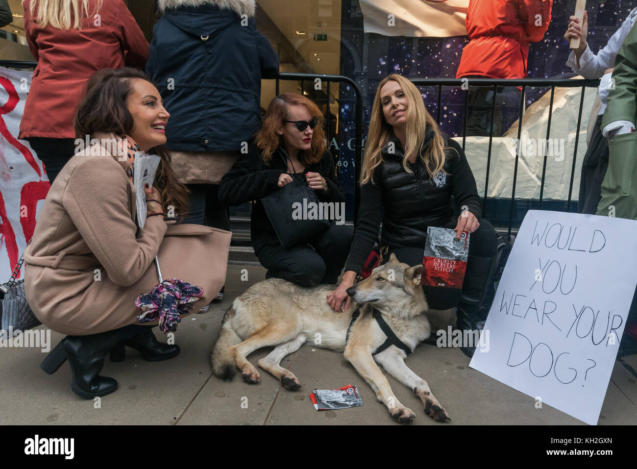 11 novembre 2017 - Londra, Regno Unito. 11 novembre 2017. Gli attivisti usano i megafoni alla protesta fuori dal nuovo negozio di punta Regent St London di Canada Goose, che secondo gli attivisti ha crudeltà nei confronti degli animali nascosti in ogni punto. Fa rifiniture di pelliccia usando coyote selvaggi intrappolati, che possono soffrire per giorni in trappole crudeli, affrontando perdita di sangue, disidratazione, congelamento, gangrena e attacchi da parte di predatori, alcuni cercano persino di masticare i propri arti intrappolati per fuggire prima che un trapper torni a strangolarli, timbrarli o picchiarli a morte. E le anatre e le oche hanno la gola tagliata e vengono gettate dentro Foto Stock