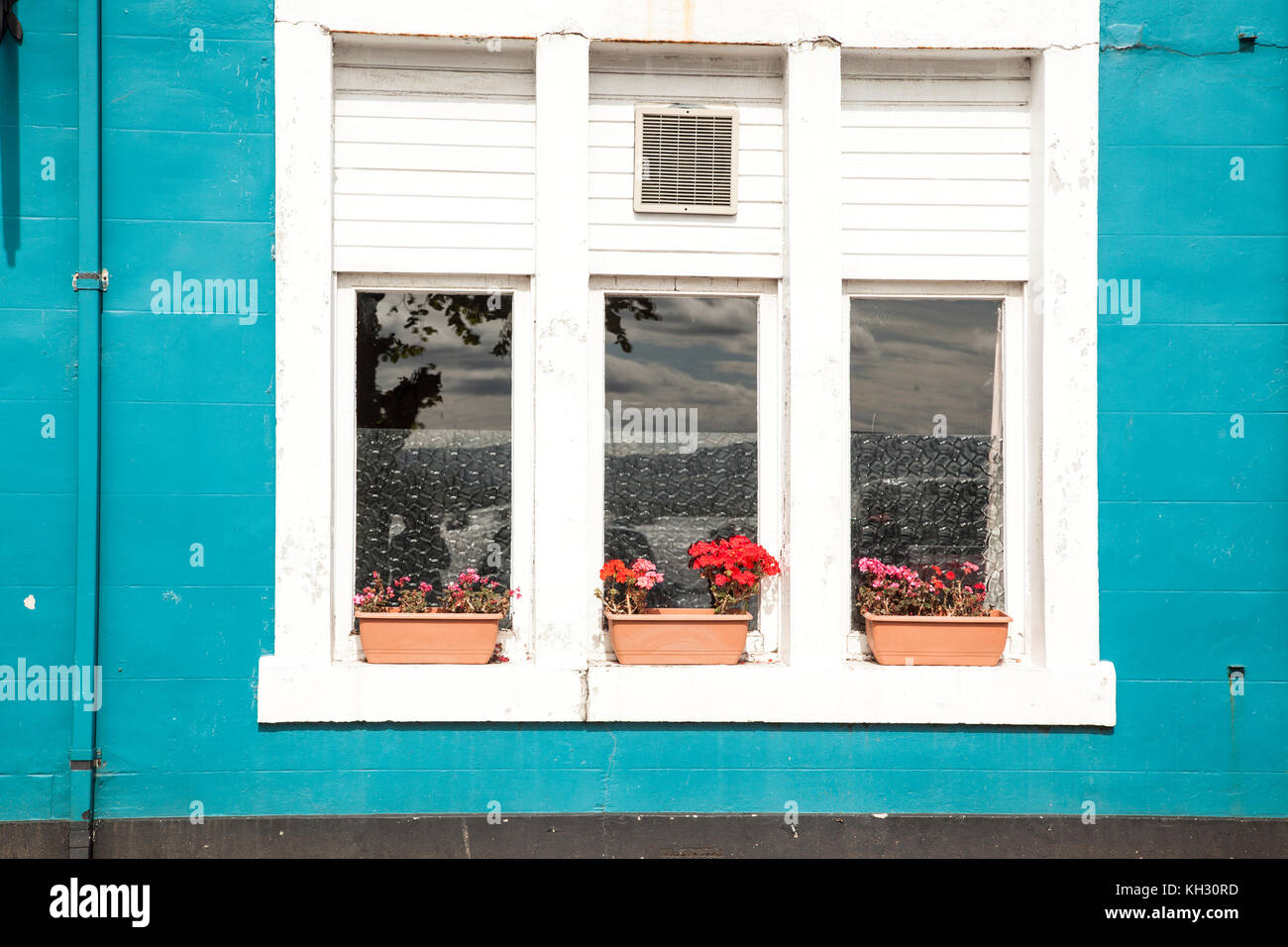Windows con in ferro battuto dipinto di nero con vasi di fiori di colore rosso sul davanzale e parete dipinta di bianco Foto Stock