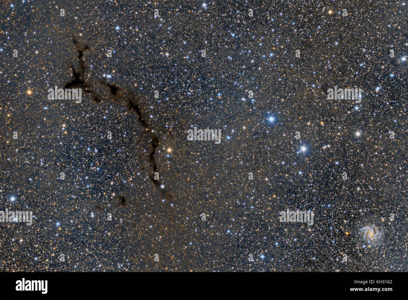Barnard 150 Dark Nebula con galassia NGC6946 Foto Stock