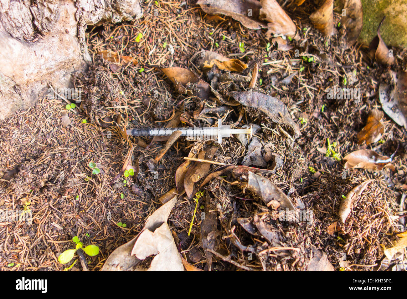 Una siringa scartato a sinistra su un sentiero appena al di fuori della Santa Margherita Italia Foto Stock