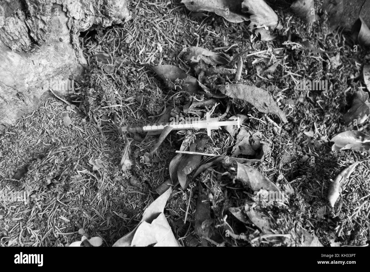 Una siringa scartato a sinistra su un sentiero appena al di fuori della Santa Margherita Italia Foto Stock