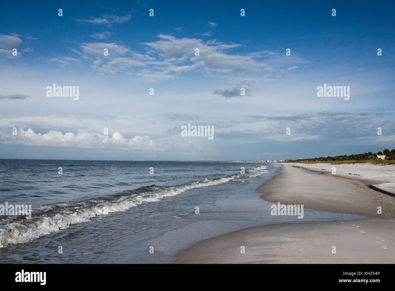 Smeraldo costa del Golfo spiagge, Gulf County, Florida Foto Stock