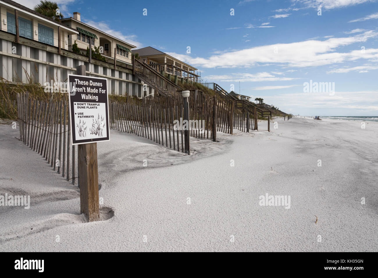 Protetti Dune di sabbia lungo il Golfo Spiagge della contea, Florida USA Foto Stock