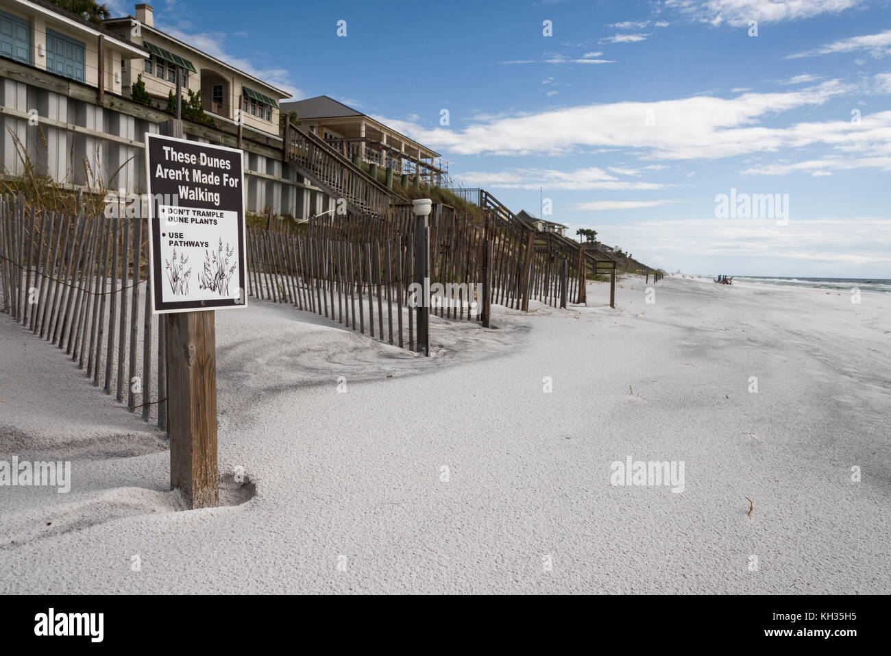 Protetti Dune di sabbia lungo il Golfo Spiagge della contea, Florida USA Foto Stock