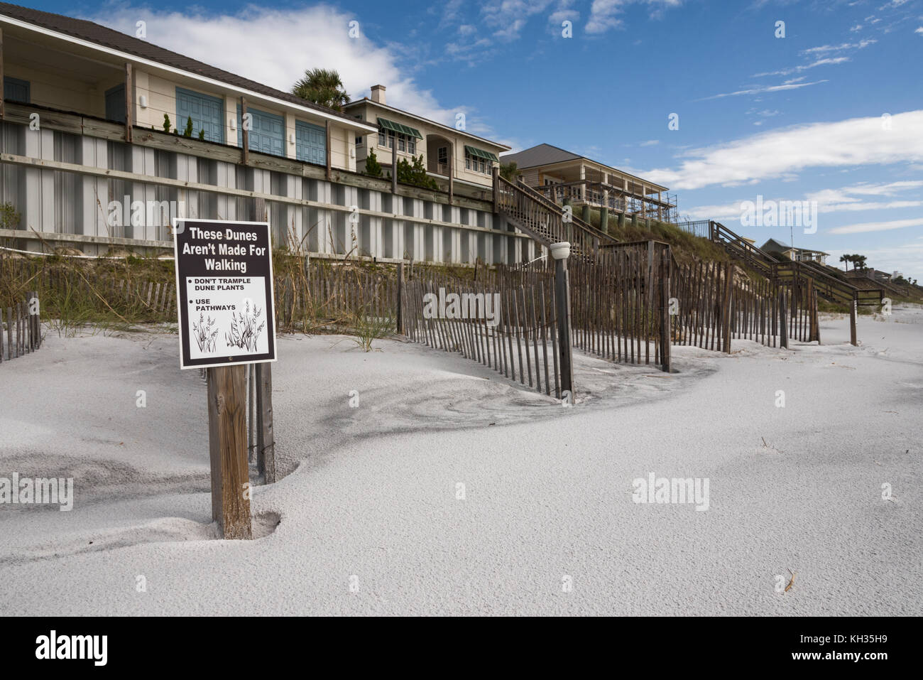 Protetti Dune di sabbia lungo il Golfo Spiagge della contea, Florida USA Foto Stock