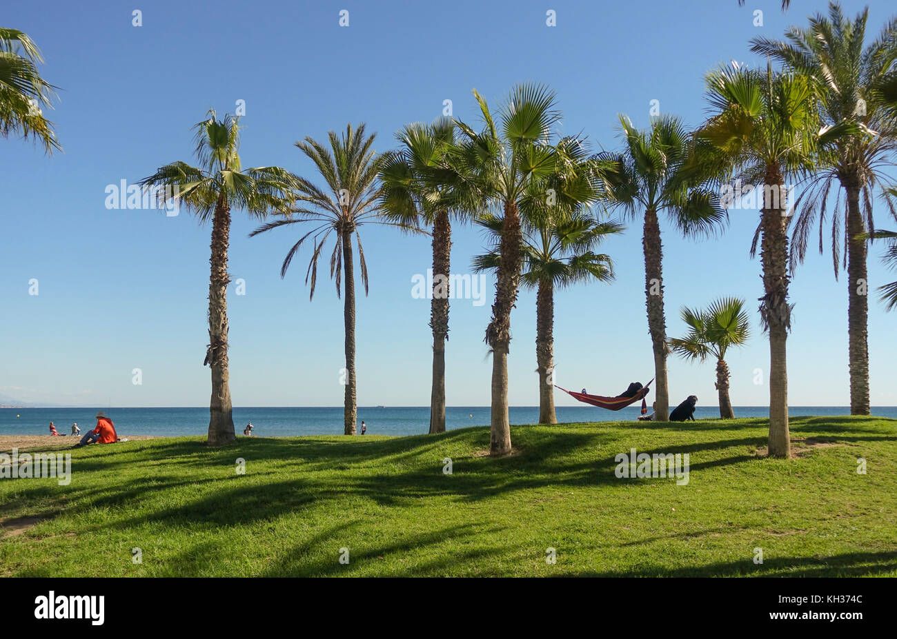 Uomo con cane in rilassante amaca set p tra palme al mare mediterraneo, Malaga, Spagna. Foto Stock