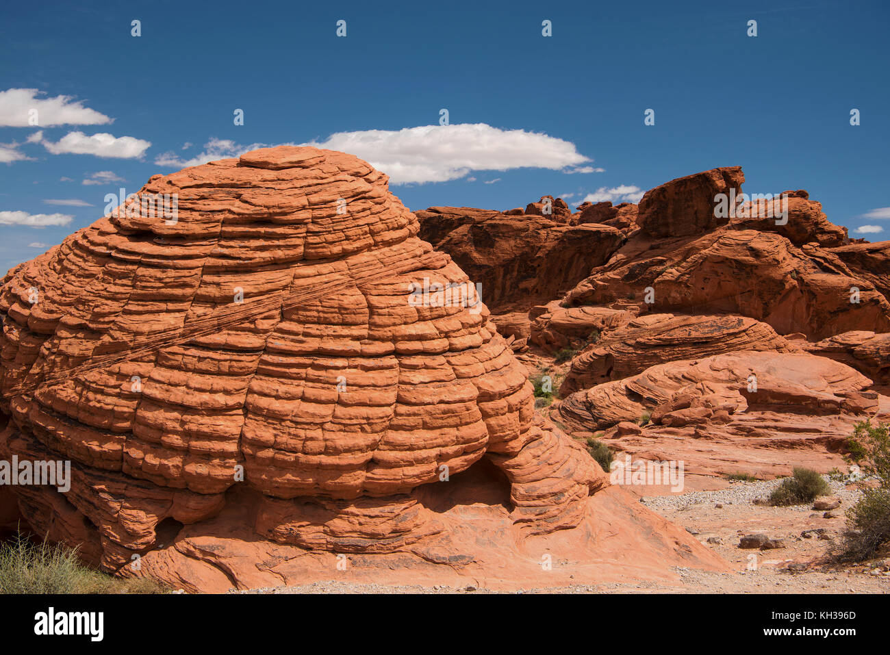 Beehive formazioni di roccia della Valle di Fire State Park, Nevada, Stati Uniti d'America Foto Stock